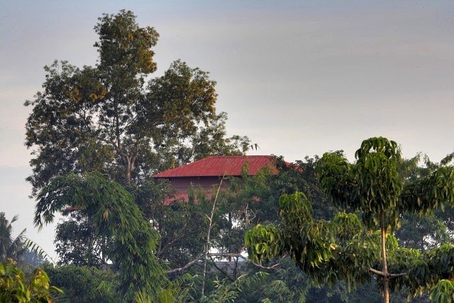mrauk oo house on treetop red roof green trees top of tree ssbwa8v1640_38_39.jpg