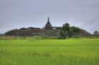 mrauk oo temple of many thousands of buddhas surrounded by green rice ssbwa8v2380_81_79_small.jpg